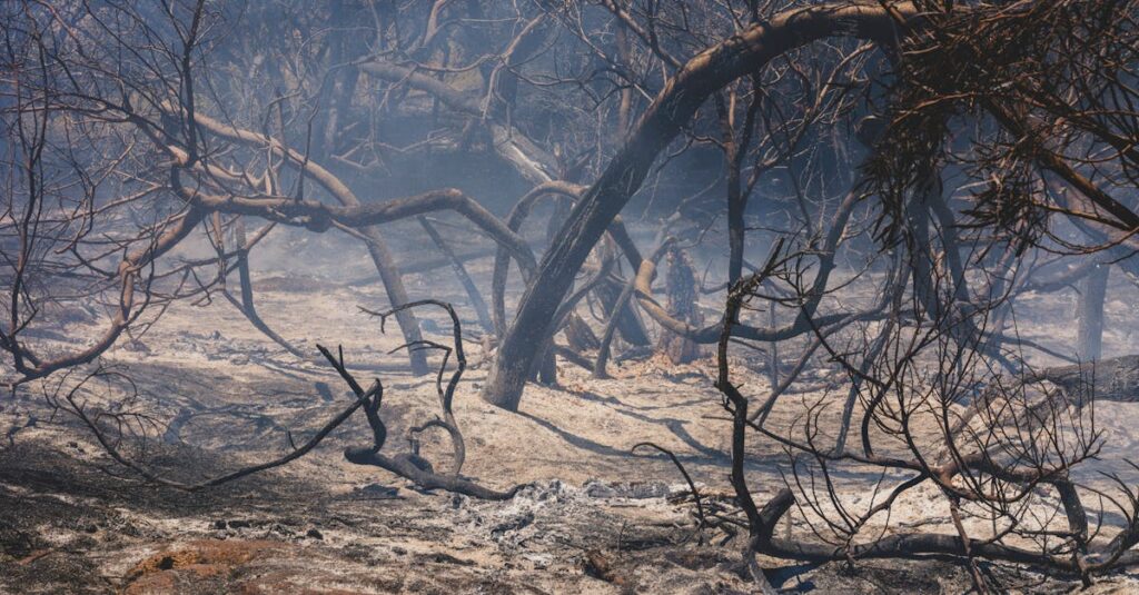 Illustration de Chaos et Danger à Marseille : Les Incendies Révèlent une Crise Sanitaire Cachée Marseille-wildfire-smoke