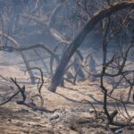 Marseille-wildfire-smoke