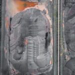 Salsigne-mine-pollution