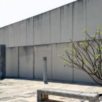 Stephane-Plaza-frustrated