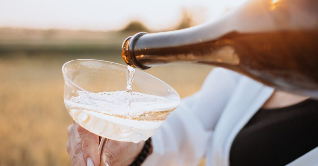 Illustration de Champagne: scandale et condamnations pour l'esclavage moderne des vendanges champagne-vineyard-exploitation