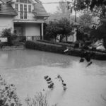 climate-risk-insurance