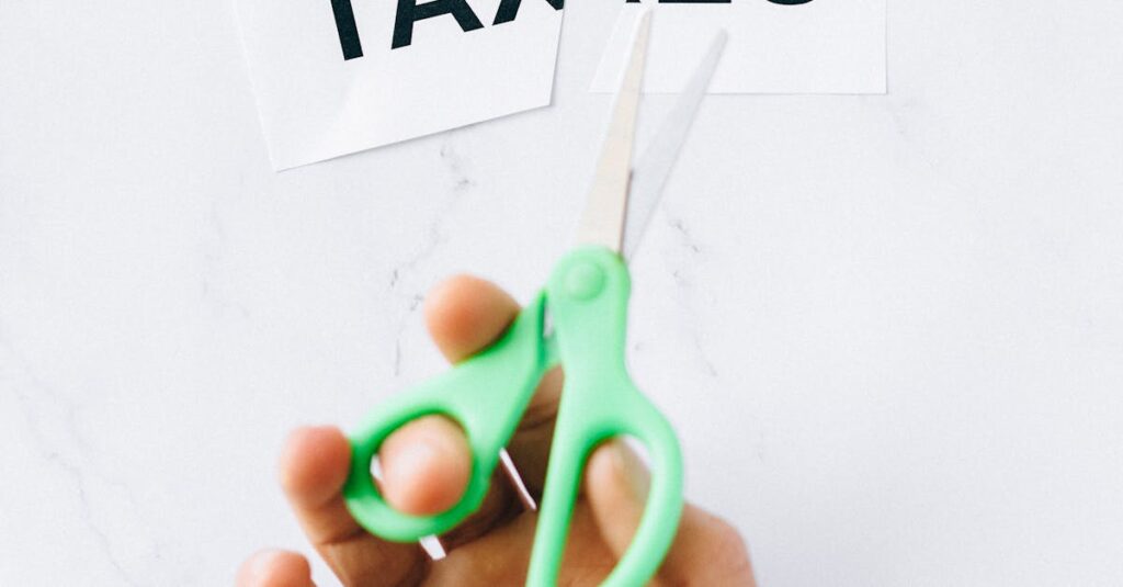 Illustration de Fonctionnaires : Année Blanche et Coupes Sévères government-budget-cut