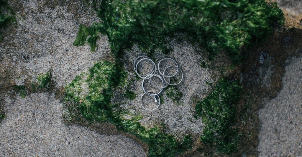 Illustration de Bretagne : les algues vertes, un fléau persistant green-algae-beach-1