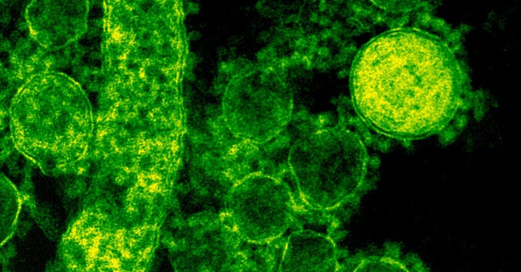 Illustration de Dengue : une épidémie menace la France, le moustique tigre s'étend mosquito-disease-outbreak