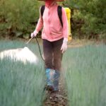 pesticide-agricultural-field