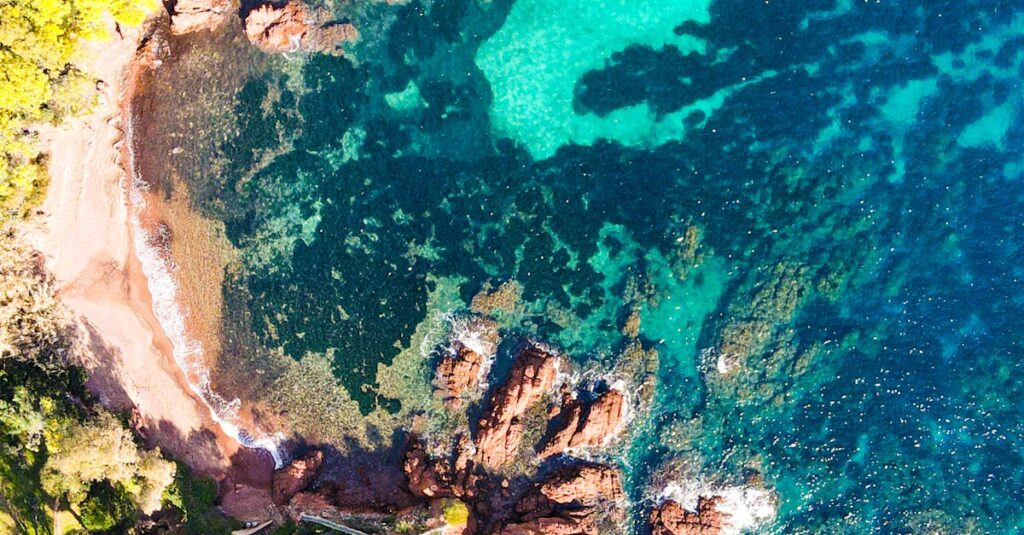 Illustration de Îles privées : le privilège honteux des milliardaires private-island-france