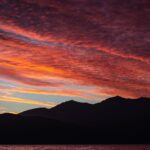 rugby-defeat-new-zealand