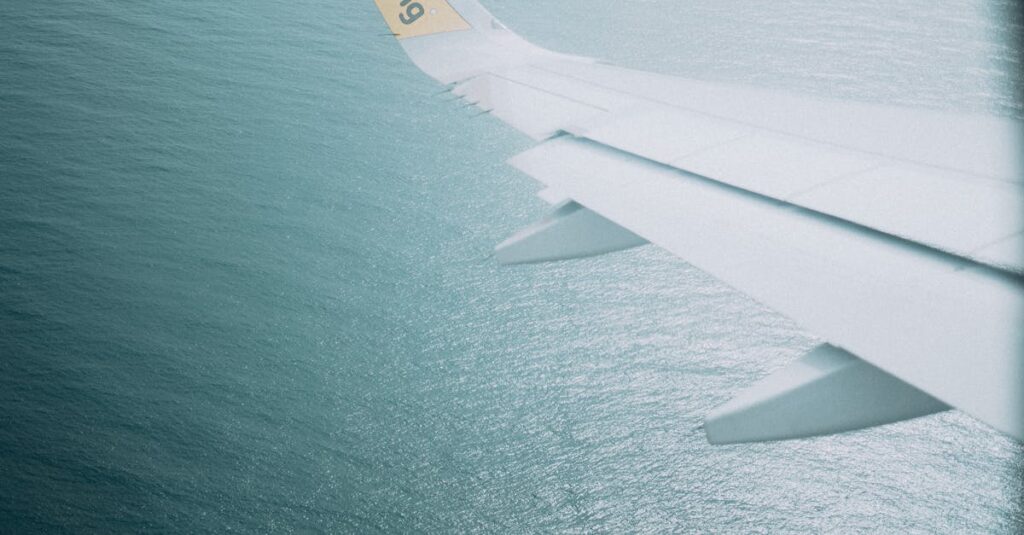Illustration de Vueling sous le feu des accusations de discrimination vueling-airplane-incident-1