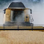 wheat-harvest-combine