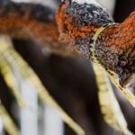 workplace-accident-scene