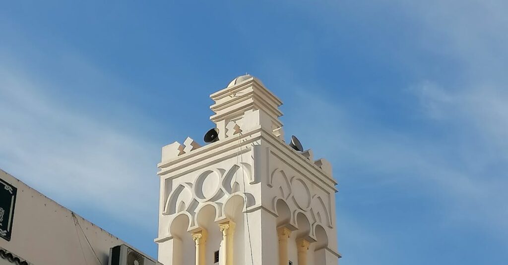 Illustration de Visite controversée à Alger : un député LFI salue les “libérateurs” de l’Algérie, l'indignation monte Aly-Diouara-Algeria