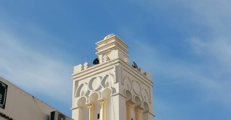 Illustration de Visite controversée à Alger : un député LFI salue les “libérateurs” de l’Algérie, l'indignation monte Aly-Diouara-Algeria