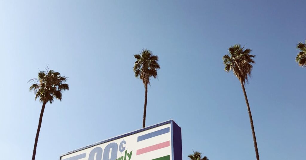 Illustration de Californie: Le rêve d'« abondance » de Newsom s'effondre sous le poids du déficit California-budget-deficit