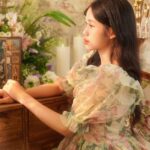 French-politician-crisis