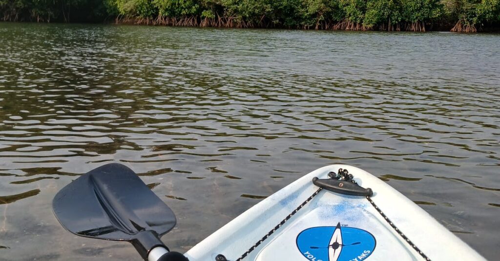 Illustration de Scandale : Le vice-président Vance aurait manipulé une rivière pour son plaisir personnel JD-Vance-kayaking-1