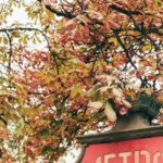 Paris-metro-disruption-1