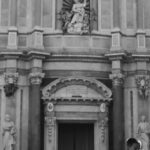 Turtle-Dove-Italy-2023