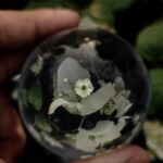 australia-warship-procurement