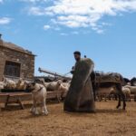 burning-farm-animals