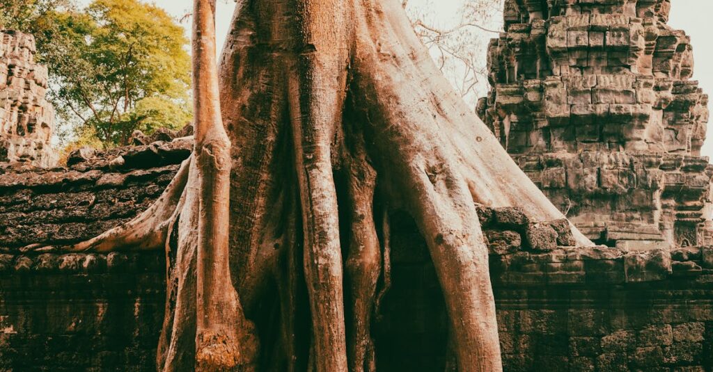 Illustration de Drame au Cambodge : Une jeune Française retrouvée sans vie cambodia-temple