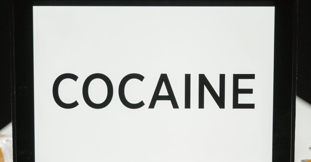 Illustration de La France Submergée par une Vague de Cocaïne Inédite cocaine-drug-bust