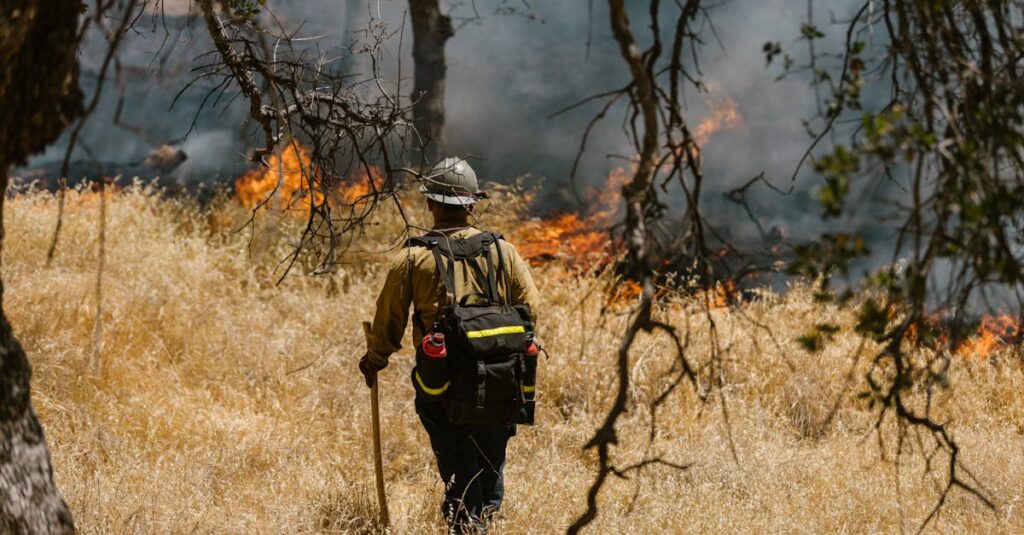 Illustration de Un incendiaire présumé interpellé en plein désastre dans l'Hérault firefighter-battling-wildfire