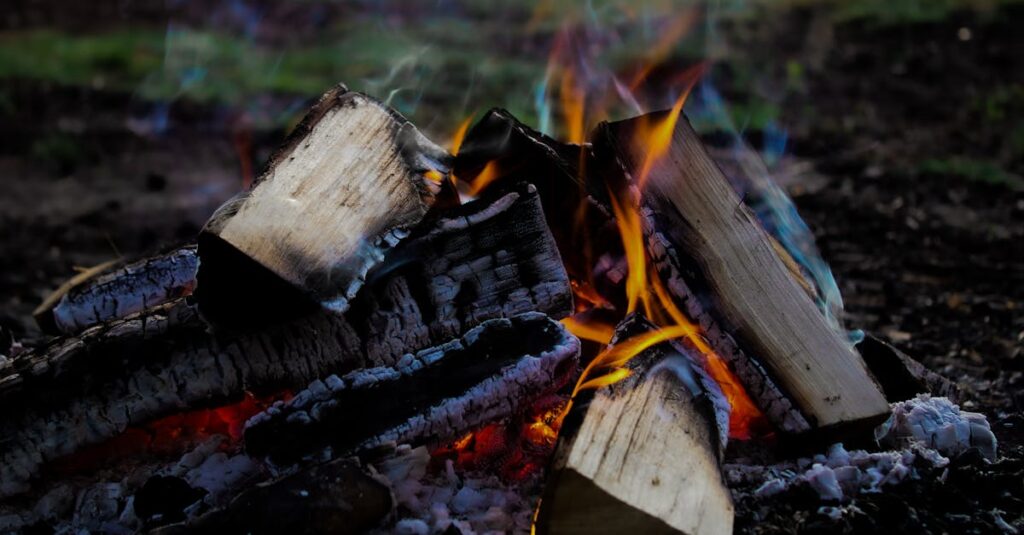 Illustration de Feux de forêt : des chiffres alarmants, une fiabilité contestable forest-fire-europe