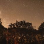 forest-fire-france-9