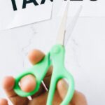 france-austerity-budget