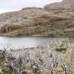 gendarmerie-forest-fire-1