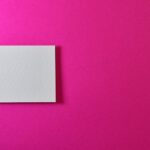 macron-bregancon-speech