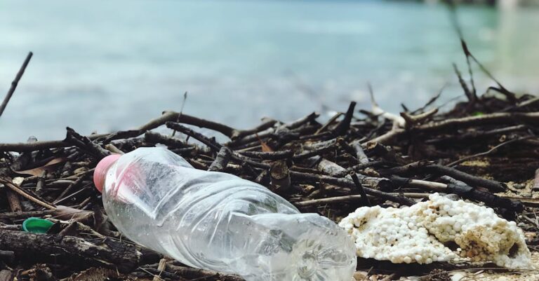 Illustration de Pollution plastique : l'échec menace les négociations mondiales à Genève plastic-pollution