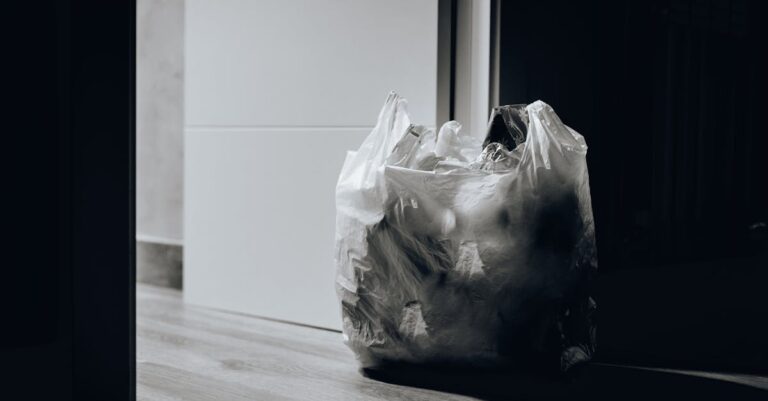 Illustration de Microplastiques : une invasion silencieuse aux conséquences inquiétantes plastic-pollution-home