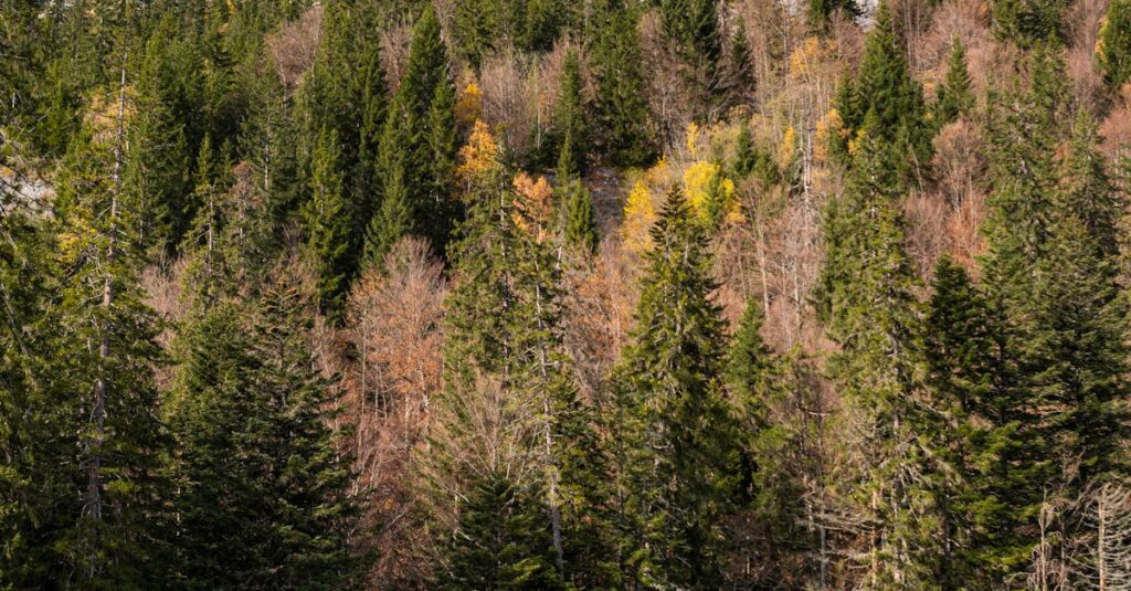 Illustration de Catastrophe à Passy : L'instabilité rocheuse tue en Haute-Savoie rockslide-Passy