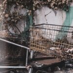 vines-burnt-Corbieres