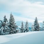 Apprenticeship-contract-reduction-France