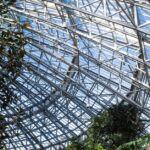 Climate-protest-low-turnout-France