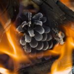 Europe-wildfires-heatwave-destruction