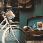 French-history-controversy