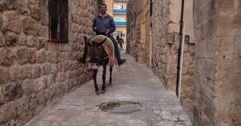 Illustration de Macron déclenche la fureur d'Israël avec sa diplomatie désastreuse Gideon-Saar-Jerusalem