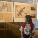 Jeffrey-Epstein-documents-island