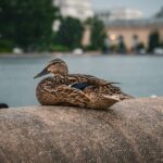 Jerome-Powell-worried-Washington