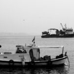 Marine-Tondelier-speech-Strasbourg