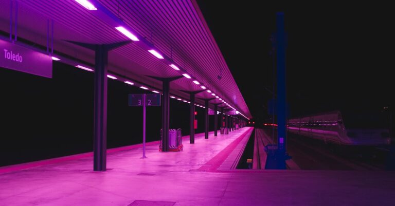 Illustration de Le fiasco des trains de nuit : Paris-Berlin et Paris-Vienne à l'arrêt Night-train-station