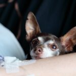 Woman-broken-leg-hospital