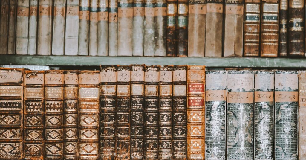 Illustration de Rentrée littéraire, une illusion masquant le déclin de l'édition bookshelves-empty-bookstore