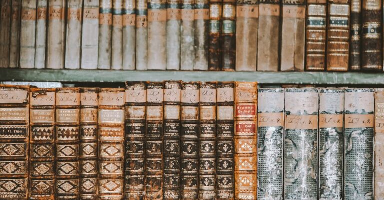 Illustration de Rentrée littéraire, une illusion masquant le déclin de l'édition bookshelves-empty-bookstore