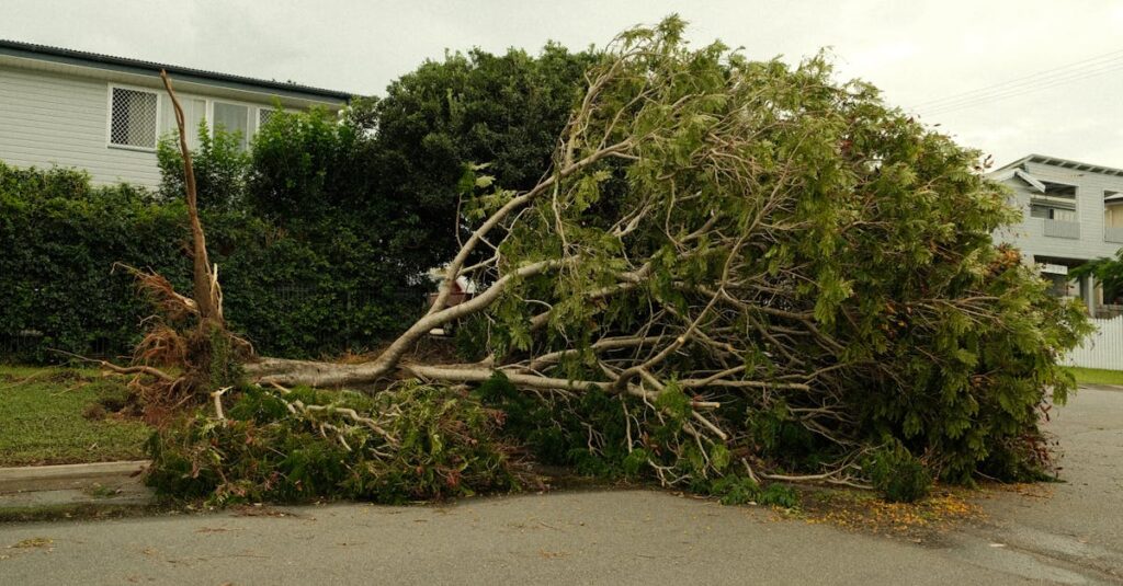 Illustration de Jardins et assurances : l'arnaque cachée qui vous ruine damaged-garden-storm