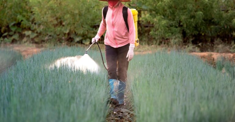 Illustration de Pesticides près des vignes : une exposition alarmante révélée pesticide-spraying-vineyard